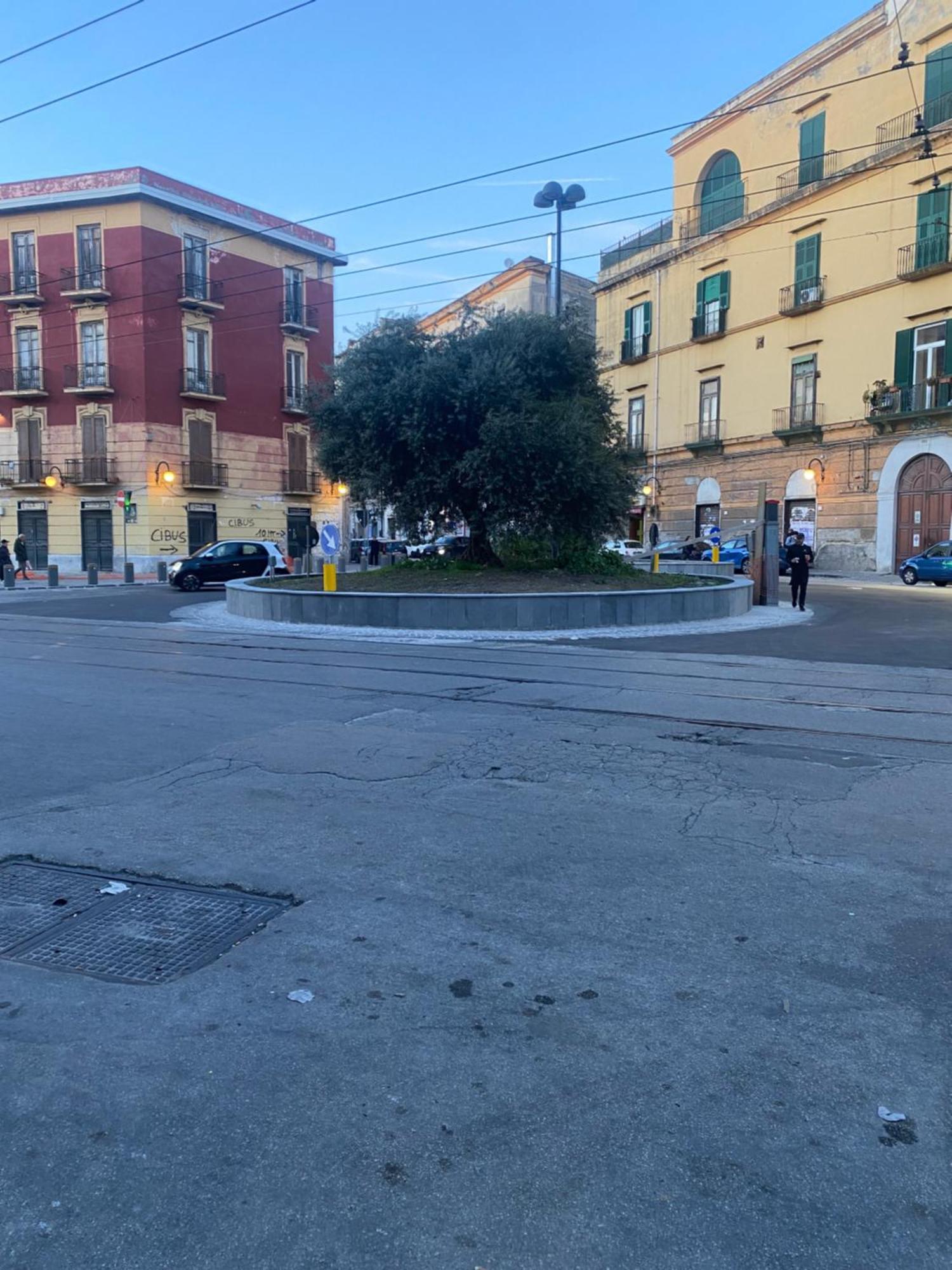 Nana Napoli